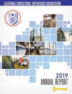 CCSO Annual Report 2019