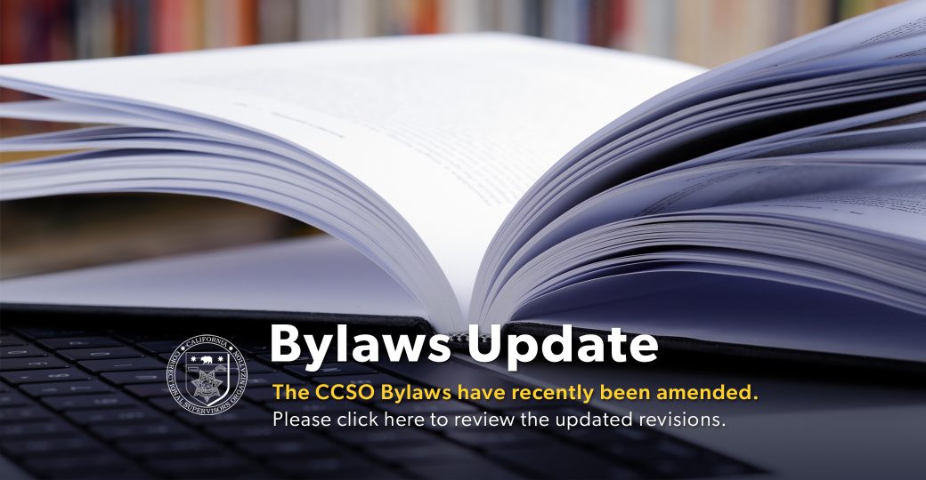 Bylaws Amendment slider 2025